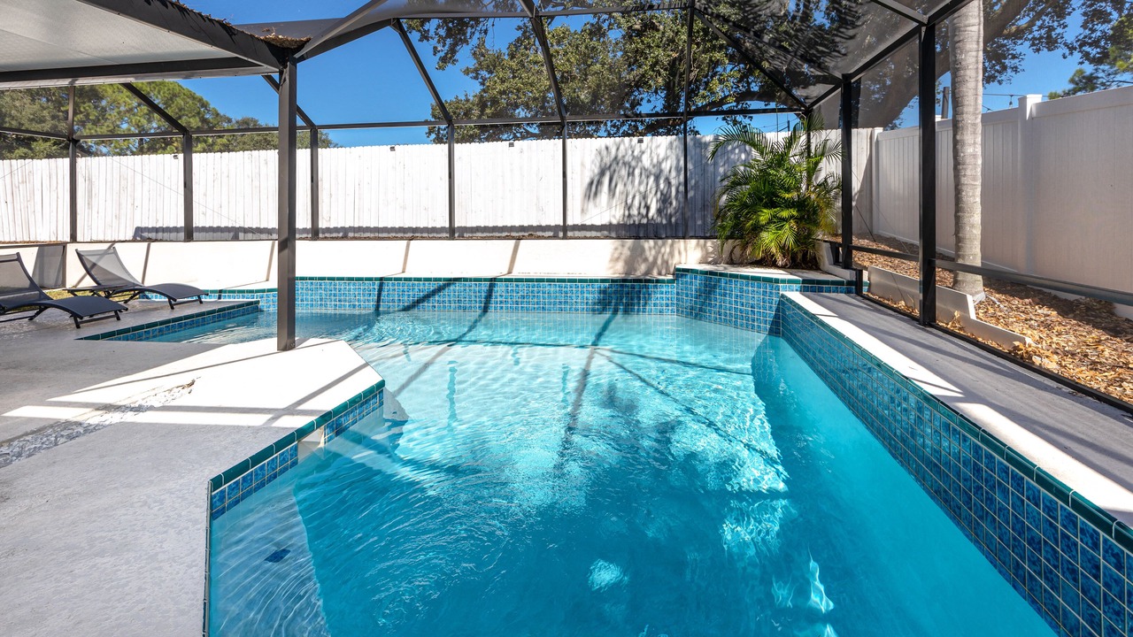 Photo of Outdoor in Palm Harbor