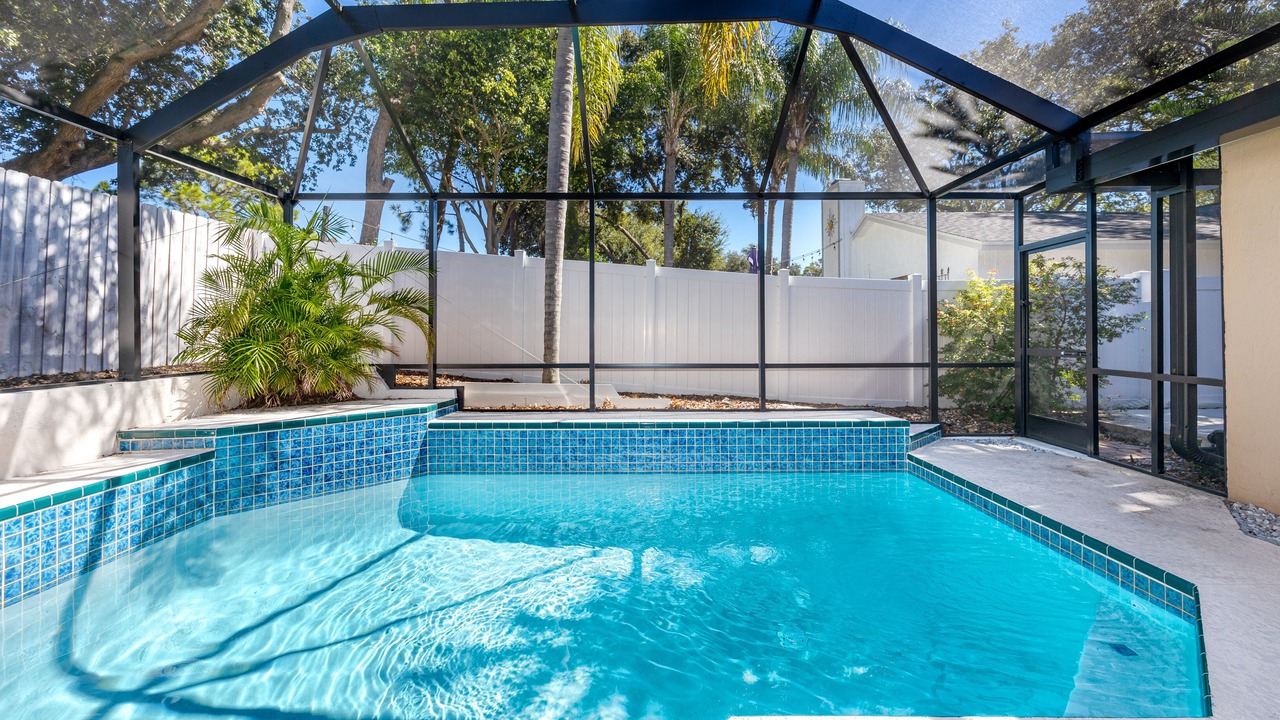 Photo of Outdoor in Palm Harbor