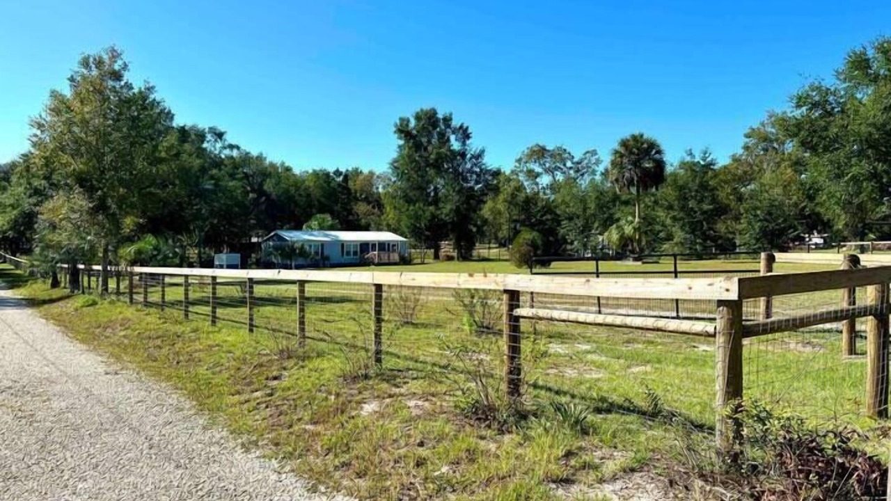 Photo of Others in Summerfield
