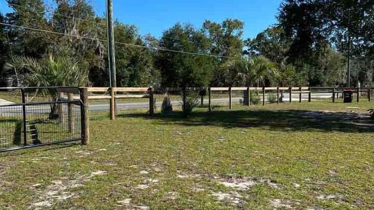 Photo of Others in Summerfield