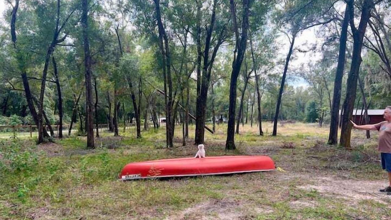 Photo of Others in Summerfield
