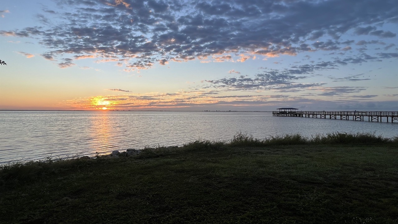 Photo of Others in Safety Harbor