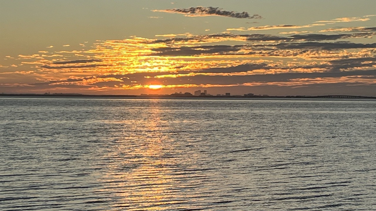 Photo of Others in Safety Harbor