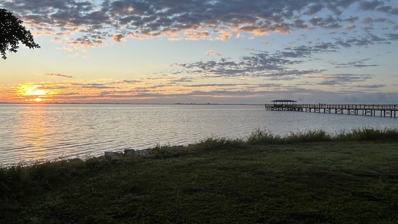 Photo of Others in Safety Harbor