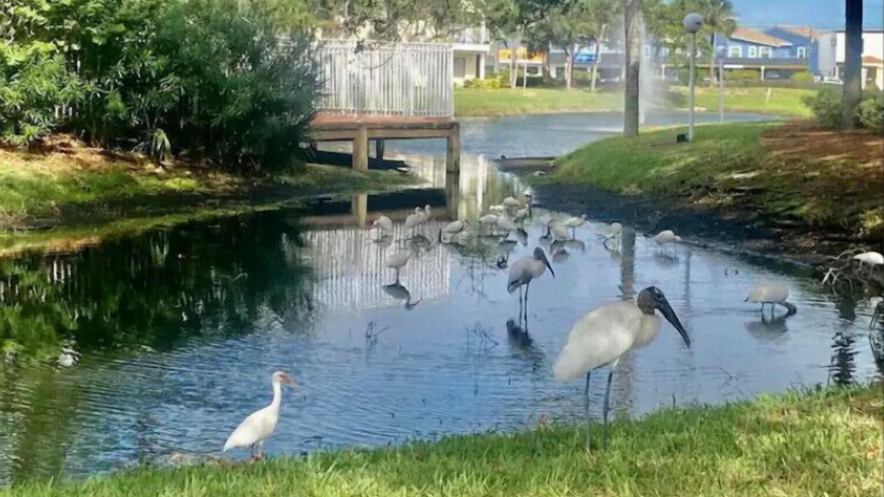 Photo of Outdoor in Ocean Side Village