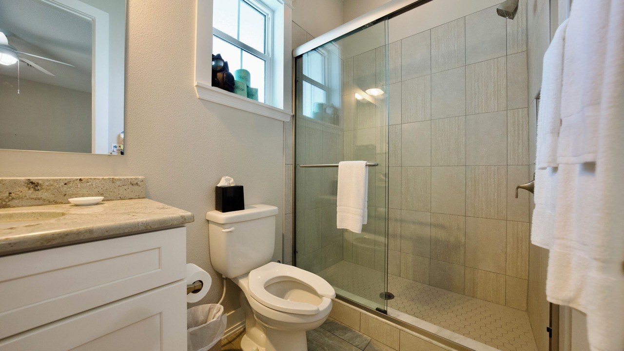 Photo of Bathroom in Dunedin