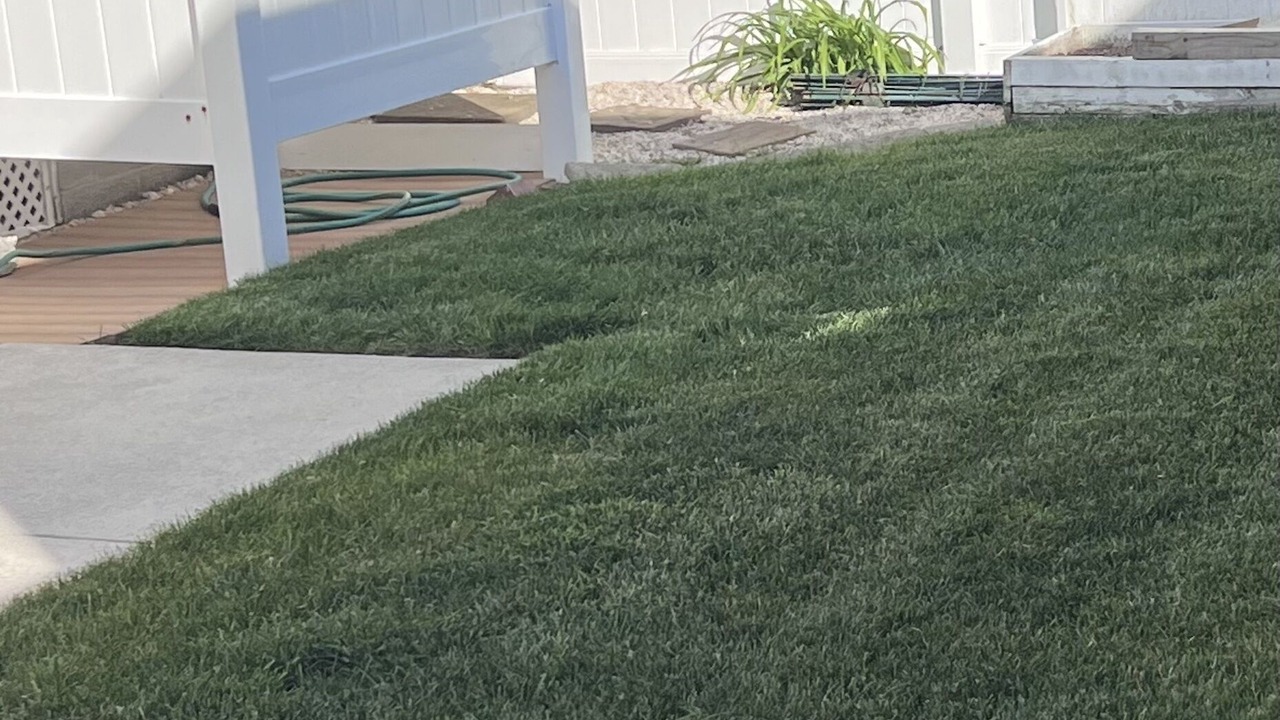 Photo of Others in Gardens