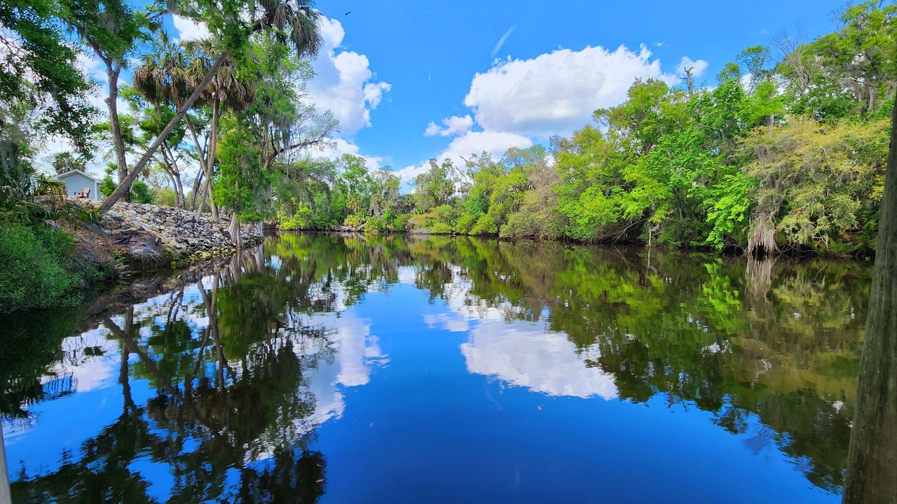 Photo of Others in Crystal River