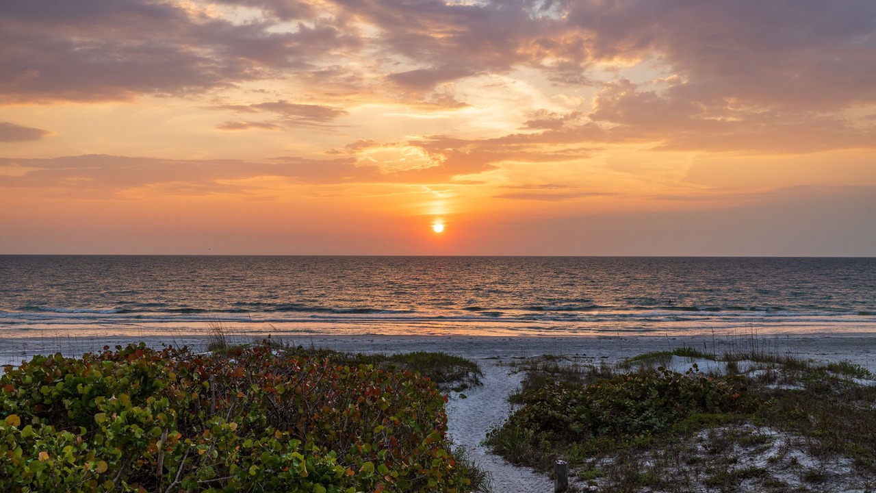 Photo of Others in Indian Shores
