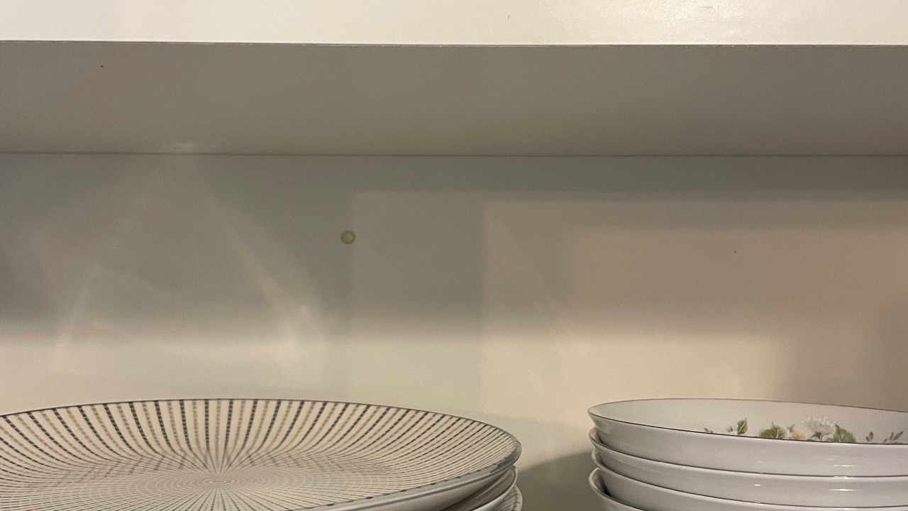 Photo of Kitchen in San Carlos Park