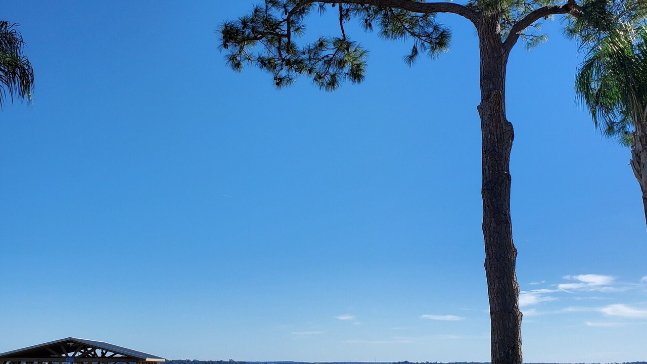 Photo of Outdoor in Tavares