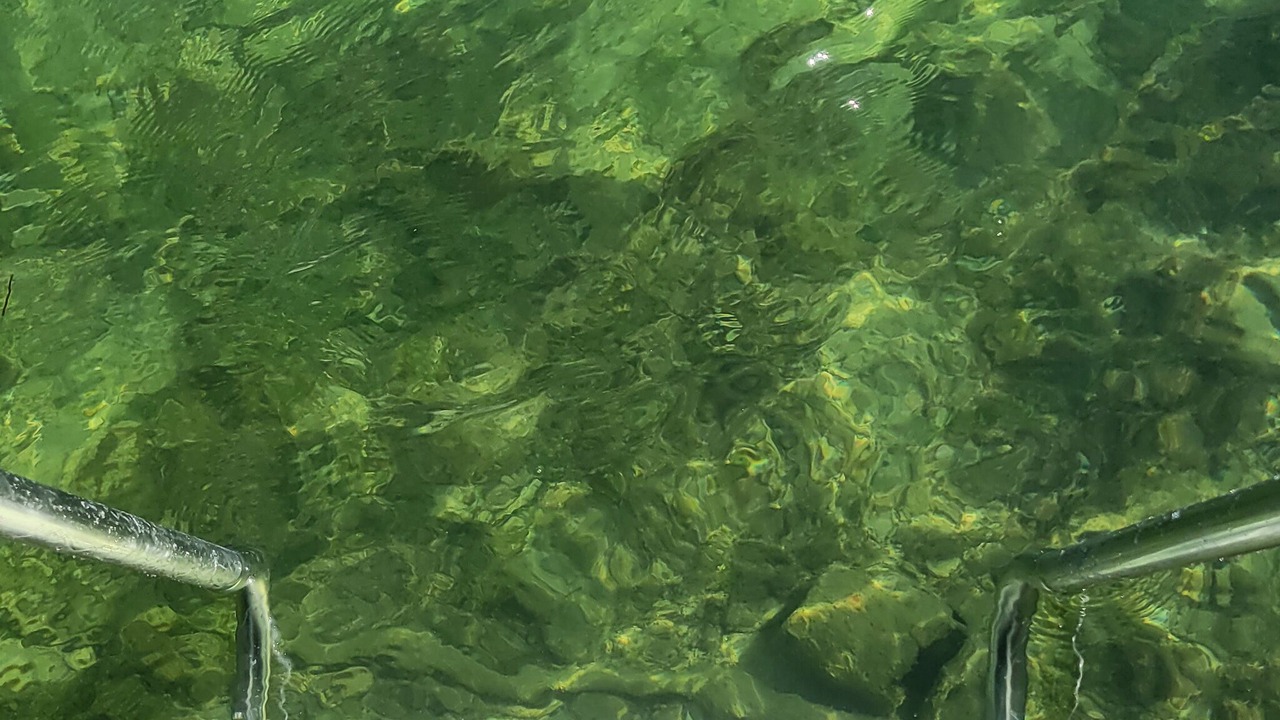 Photo of Others in Cudjoe Key