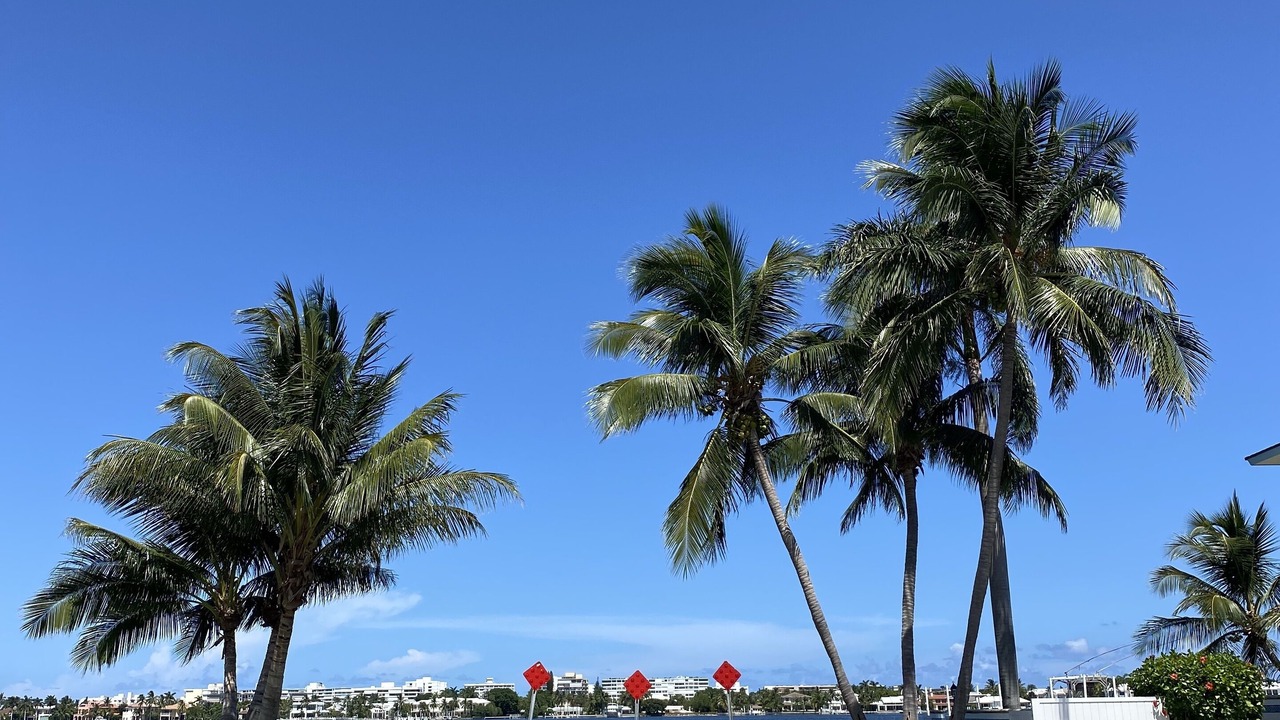Photo of Outdoor in East Ocean Ave