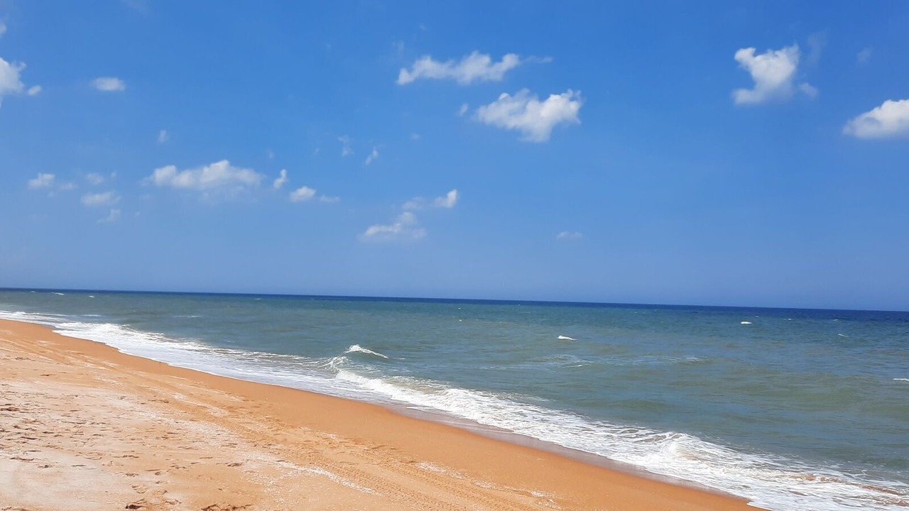 Photo of Others in Ormond Beach