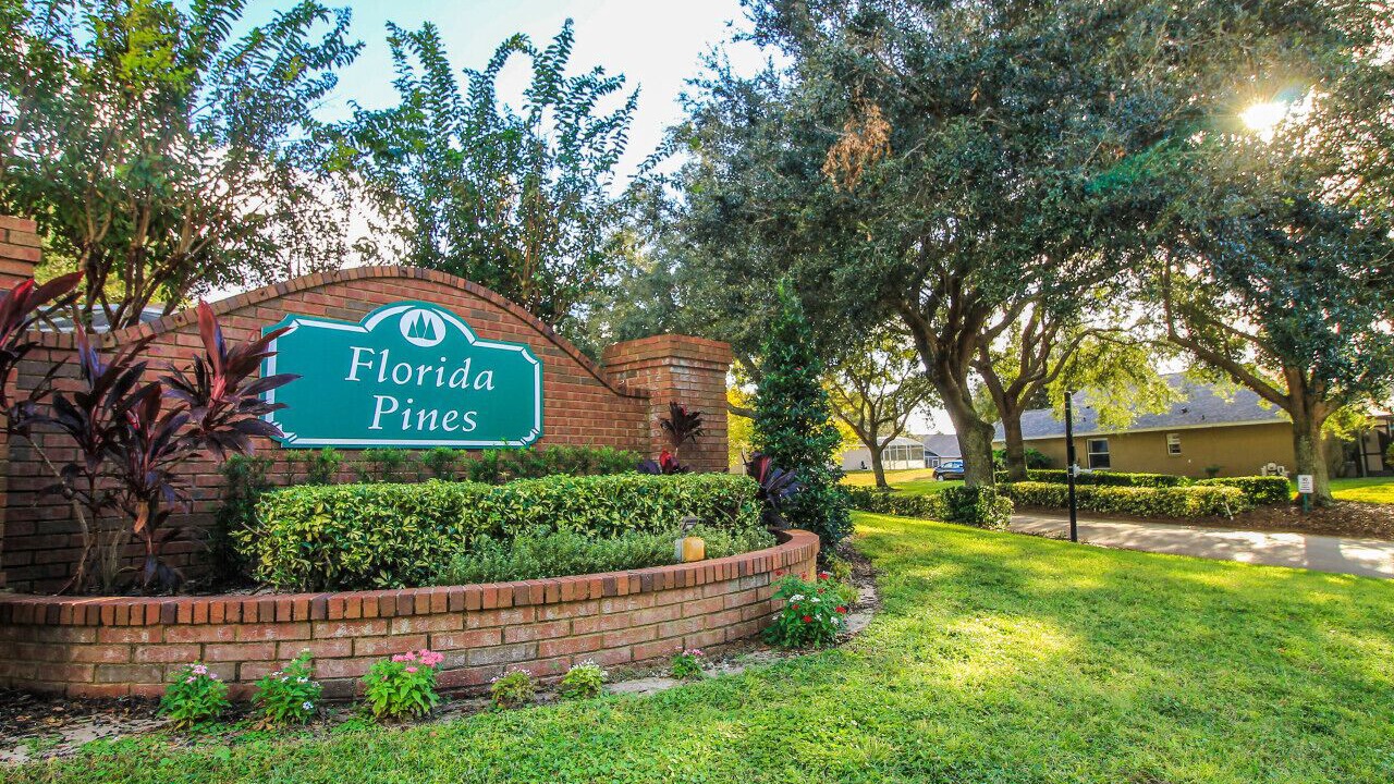 Photo of Outdoor in Florida Pines