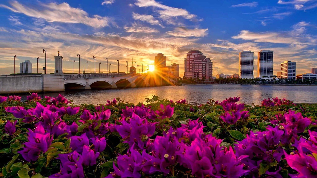 Photo of Others in Palm Beach - West Palm Beach