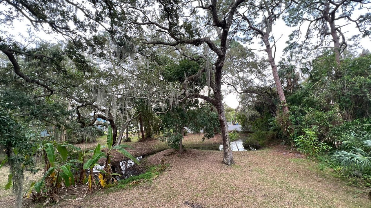 Photo of Outdoor in Pinellas Point