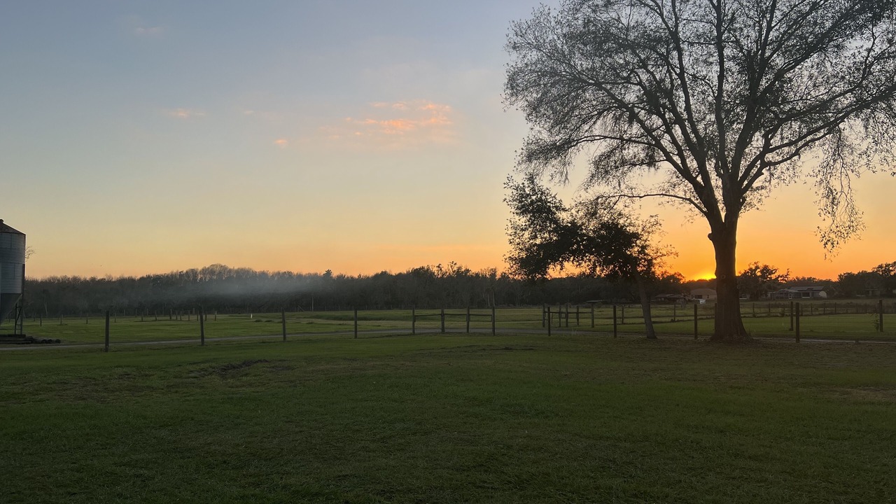Photo of Outdoor in Nichols