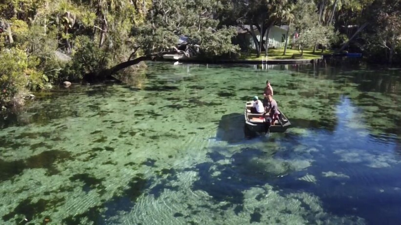 Photo of Outdoor in Homosassa