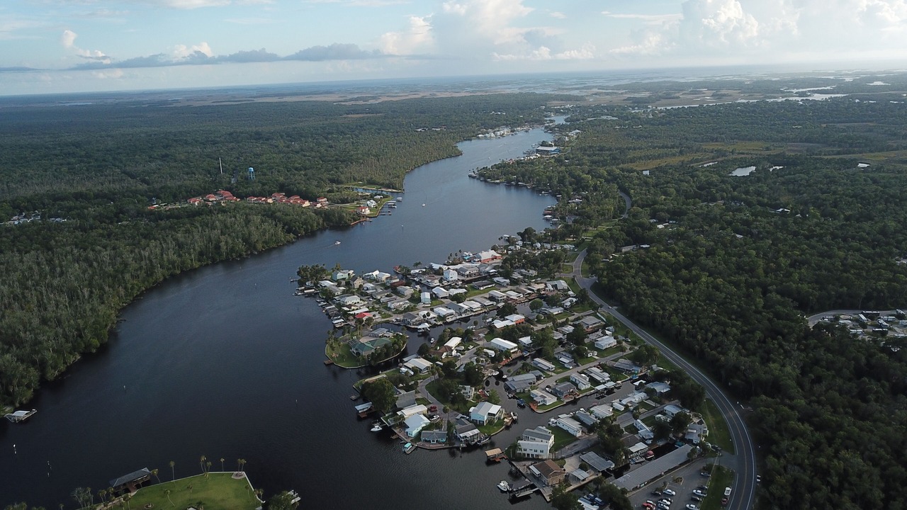 Photo of Others in Homosassa