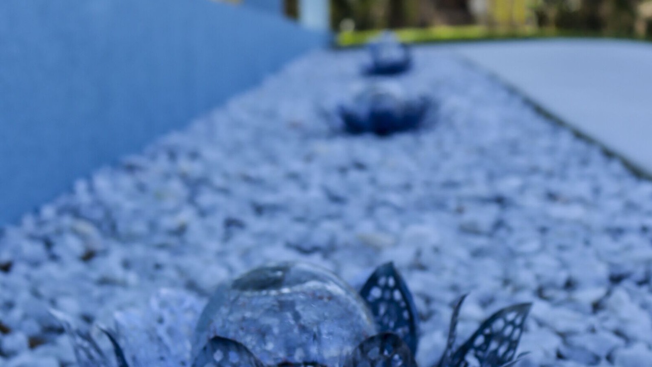 Photo of Outdoor in Warm Mineral Springs