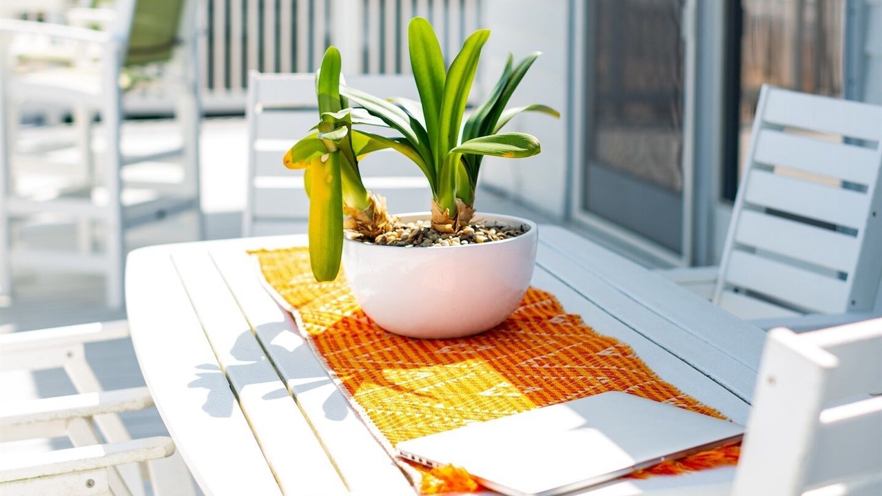 Photo of Outdoor in South Ponte Vedra Beach