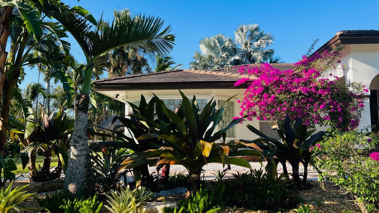 Photo of Outdoor in Weston