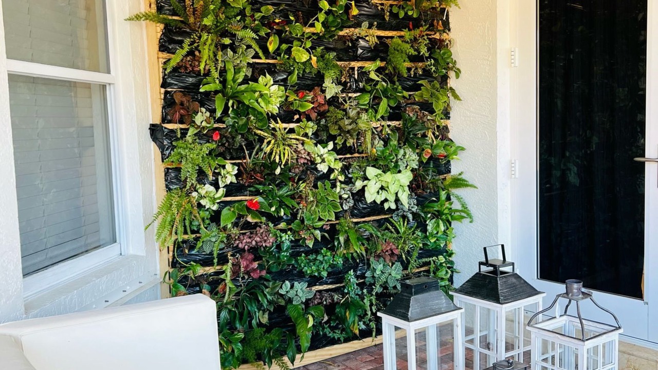 Photo of Outdoor in Weston