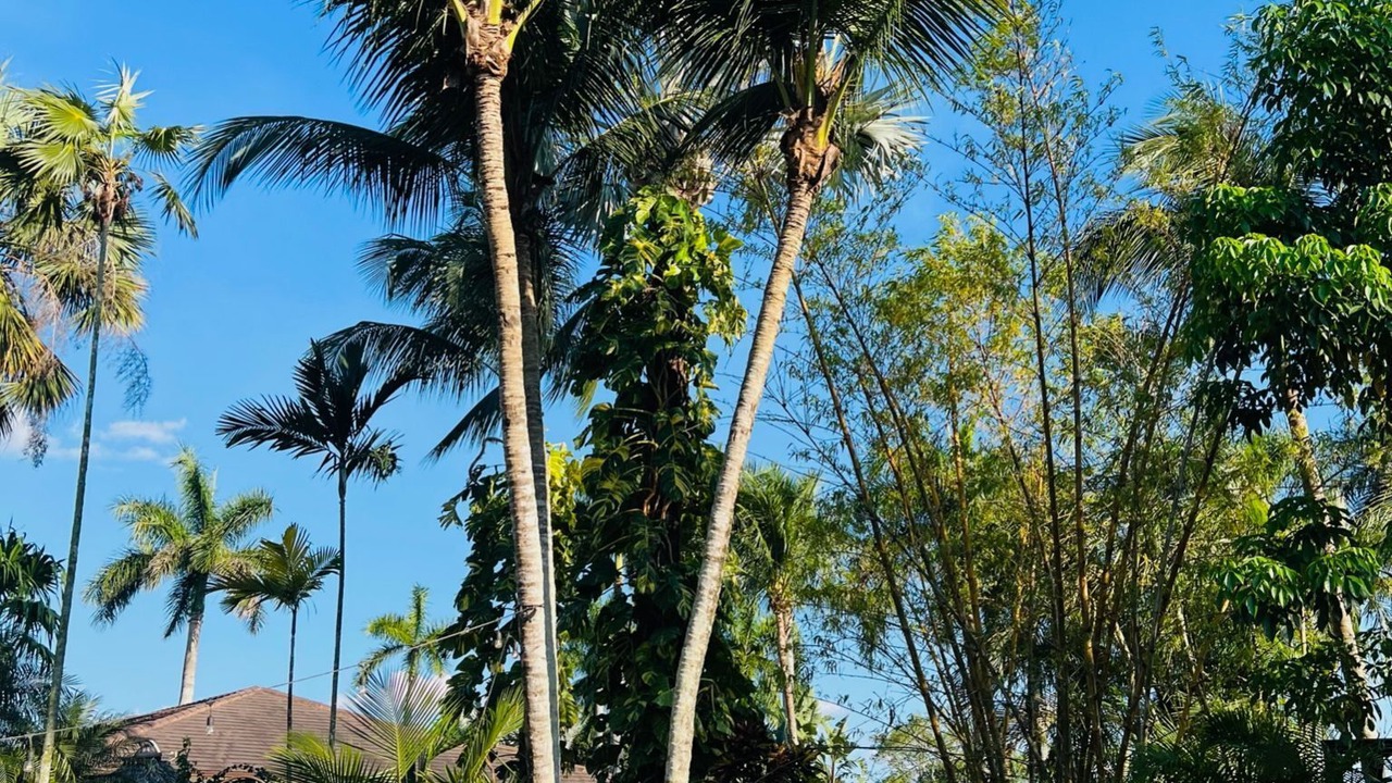 Photo of Outdoor in Weston