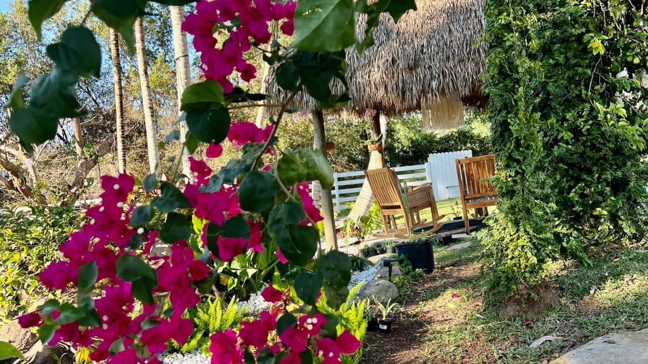 Photo of Outdoor in Weston