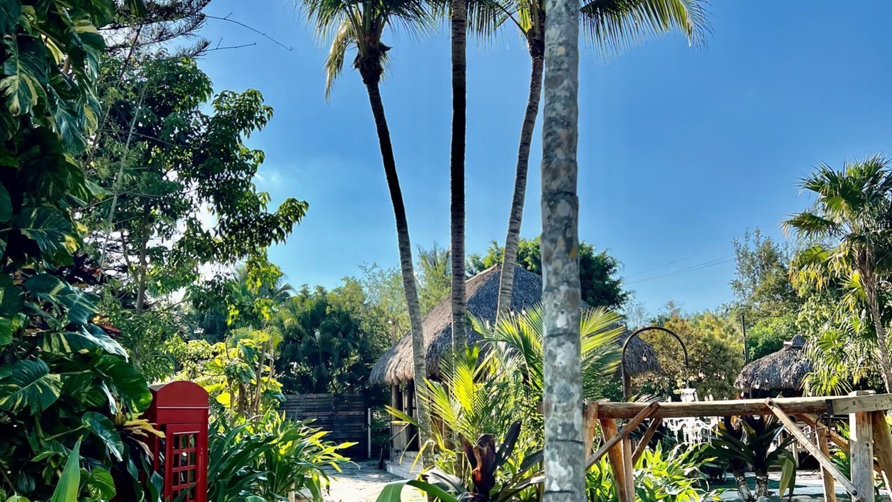 Photo of Outdoor in Weston