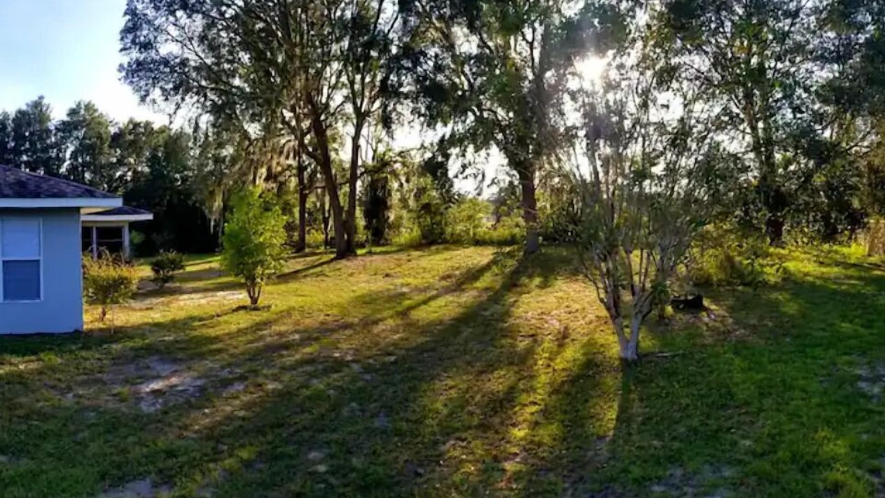 Photo of Outdoor in Candler