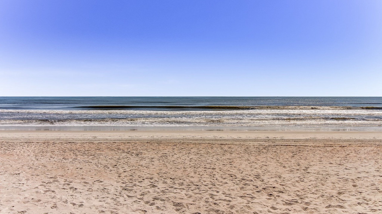 Photo of Others in American Beach
