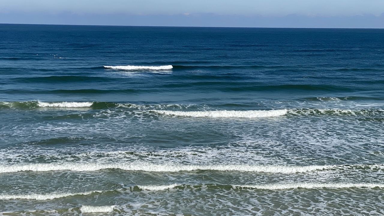 Photo of Others in Port Orange