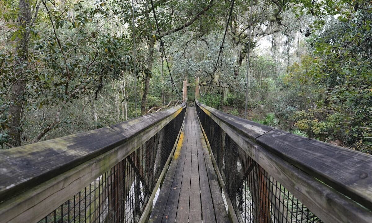 Photo of Others in Palatka