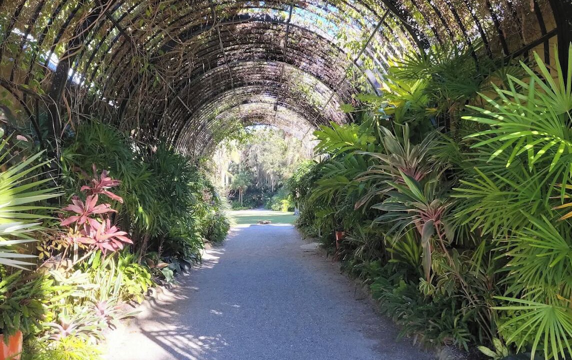 Photo of Outdoor in Florida Ridge