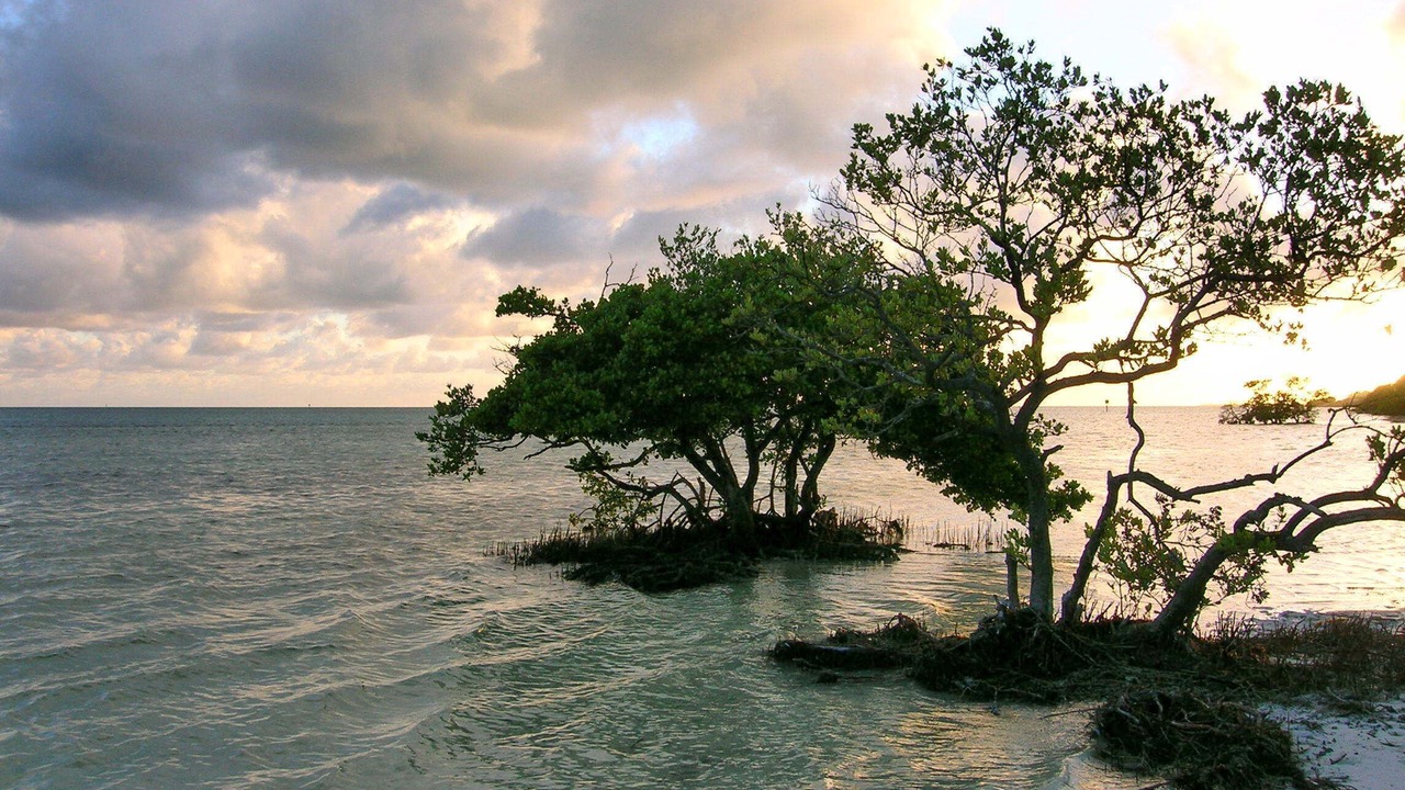 Photo of Others in Sexton Cove Estates