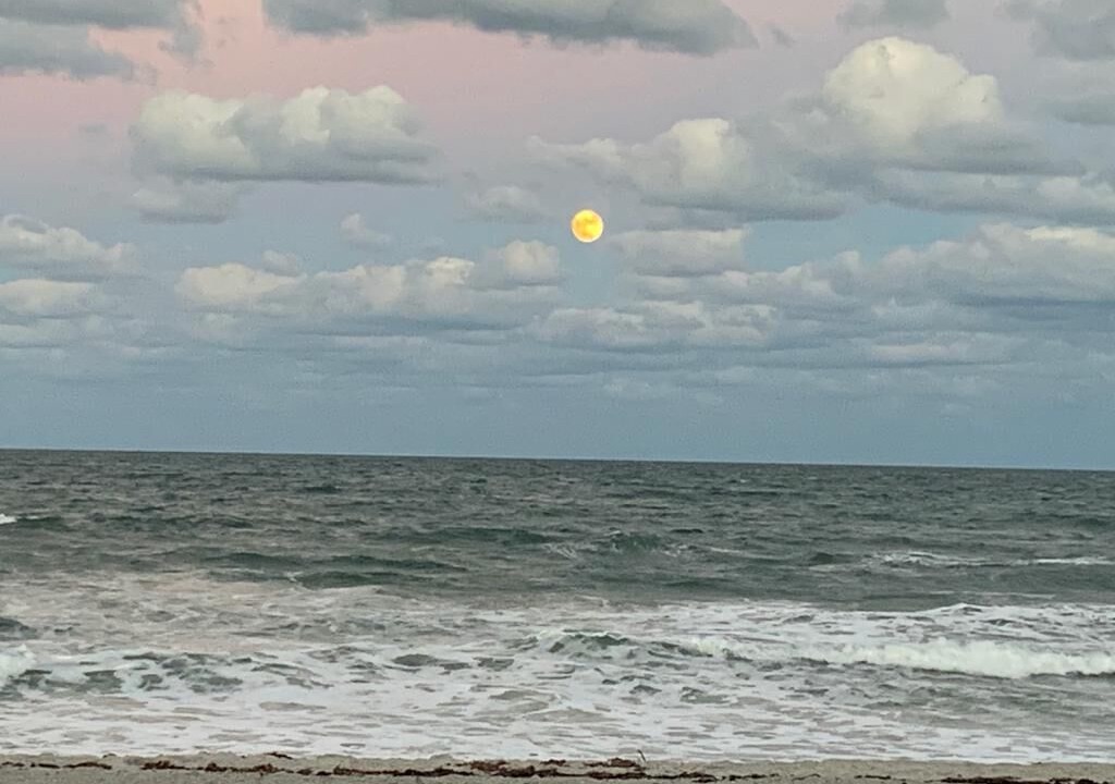 Photo of Others in Port Canaveral