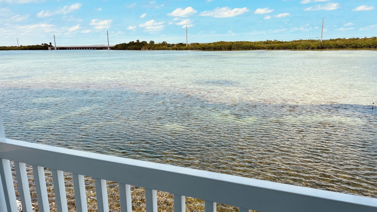 Photo of Outdoor in Bay Point