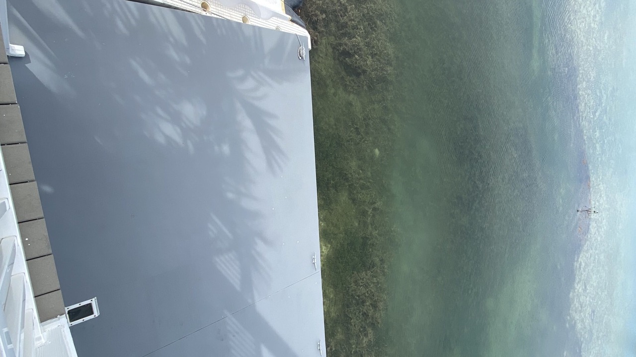 Photo of Outdoor in Bay Point