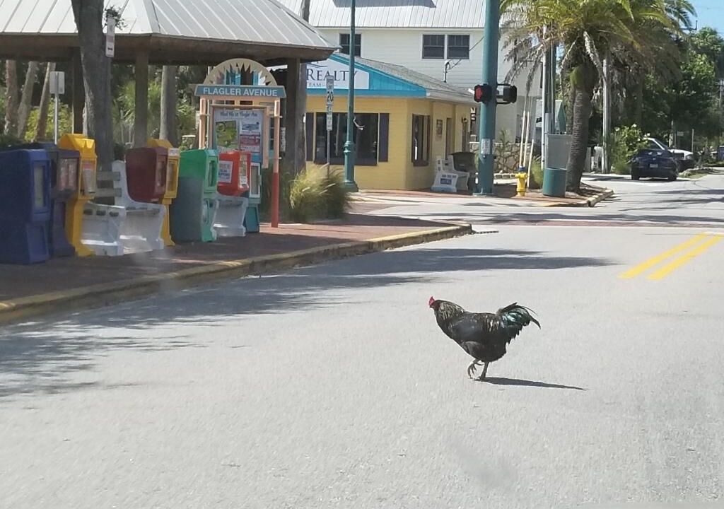 Photo of Outdoor in Boardwalk
