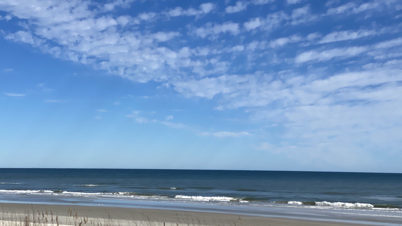 Photo of Others in Boardwalk
