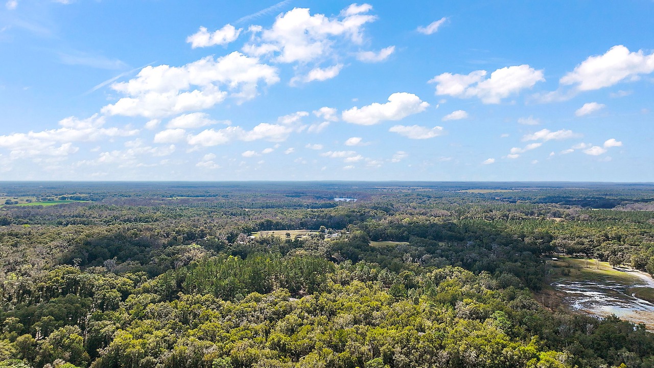 Photo of Outdoor in Floral City