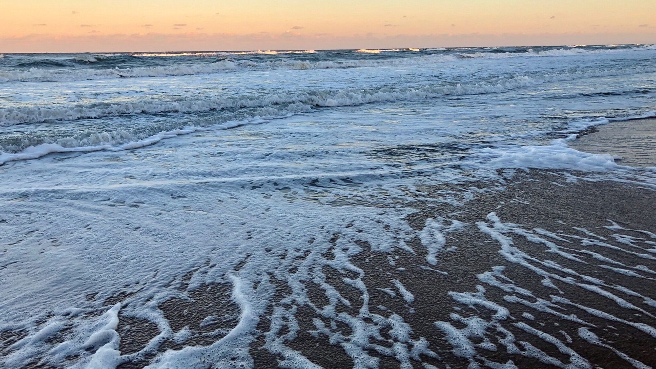 Photo of Others in New Smyrna Beach