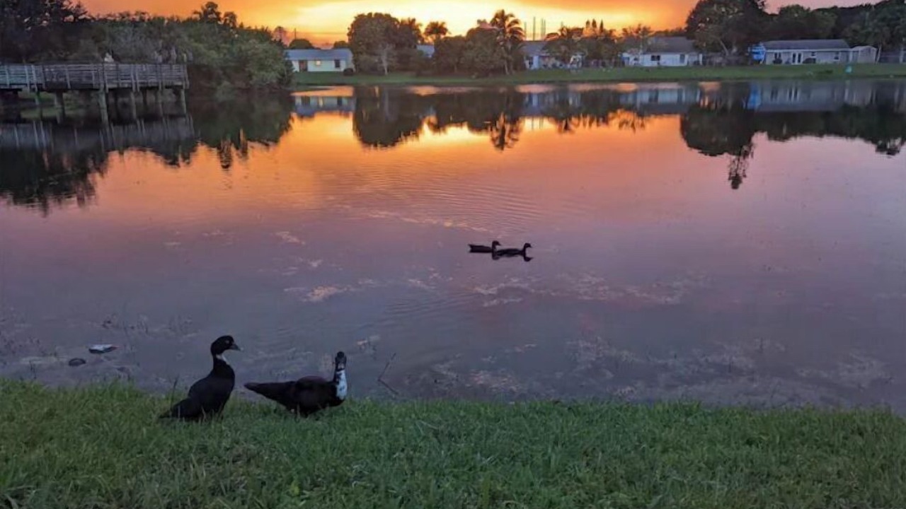 Photo of Others in Royal Palm Beach