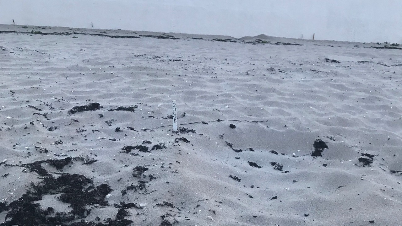 Photo of Outdoor in Hypoluxo Island