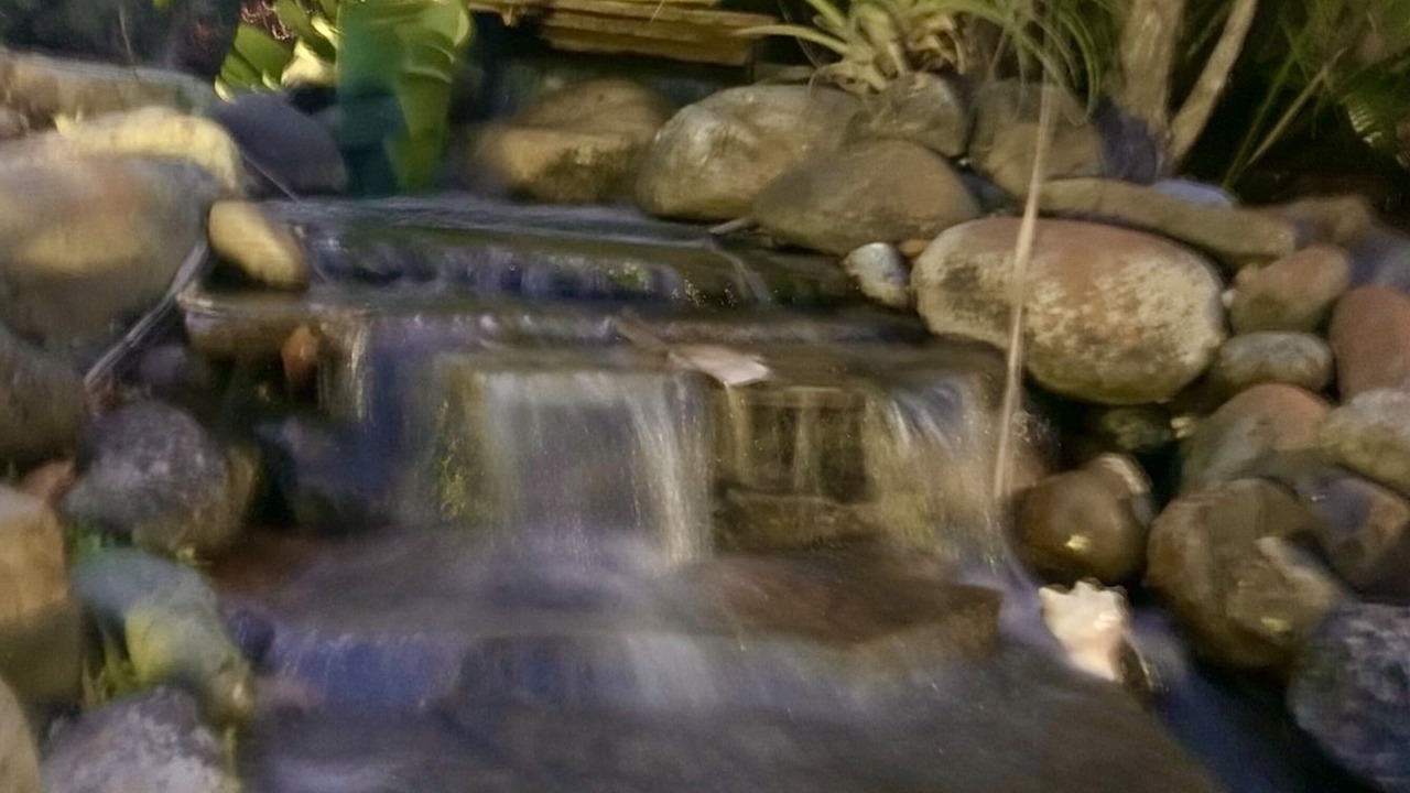 Photo of Outdoor in Mims