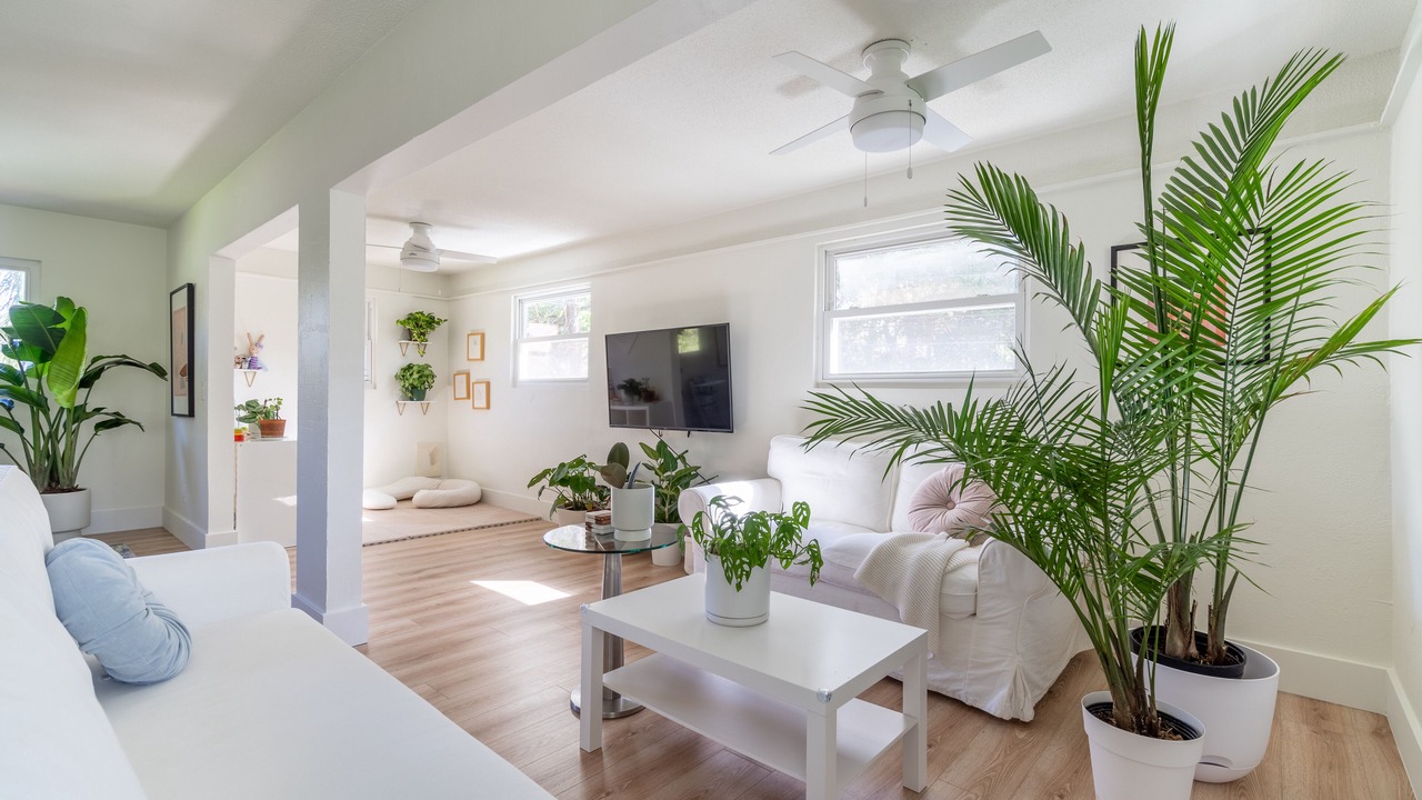Photo of Livingroom in St. Petersburg - Clearwater