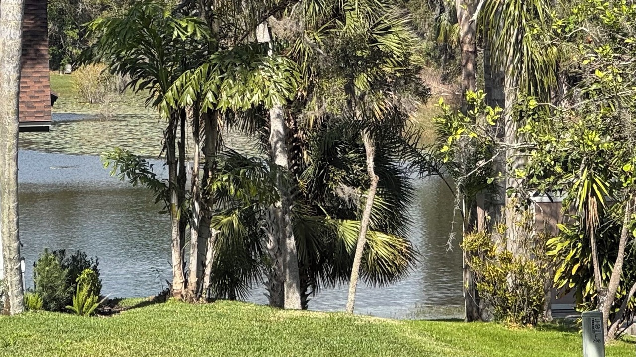 Photo of Outdoor in Lake Mary