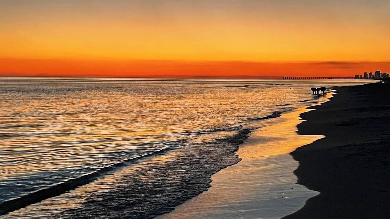 Photo of Others in Rosemary Beach